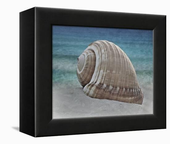 Shell Ray Soaking-Marcus Prime-Framed Stretched Canvas