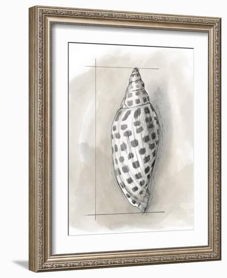 Shell Schematic IV-Megan Meagher-Framed Art Print