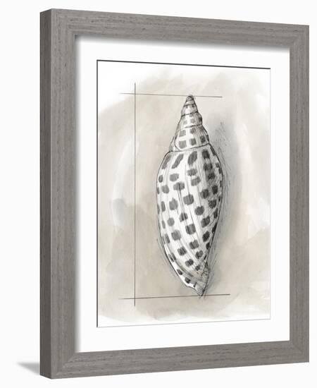 Shell Schematic IV-Megan Meagher-Framed Art Print