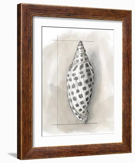 Shell Schematic IV-Megan Meagher-Framed Art Print