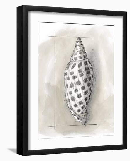 Shell Schematic IV-Megan Meagher-Framed Art Print