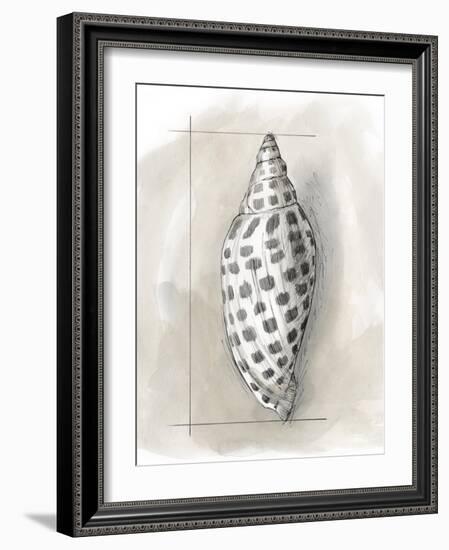 Shell Schematic IV-Megan Meagher-Framed Art Print