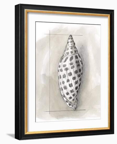 Shell Schematic IV-Megan Meagher-Framed Art Print