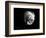 Shell Shape in Black-George Oze-Framed Photographic Print