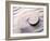 Shell Spiraling into Wavy Sand Pattern-null-Framed Photographic Print