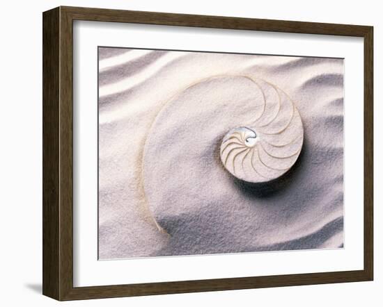 Shell Spiraling into Wavy Sand Pattern-null-Framed Photographic Print