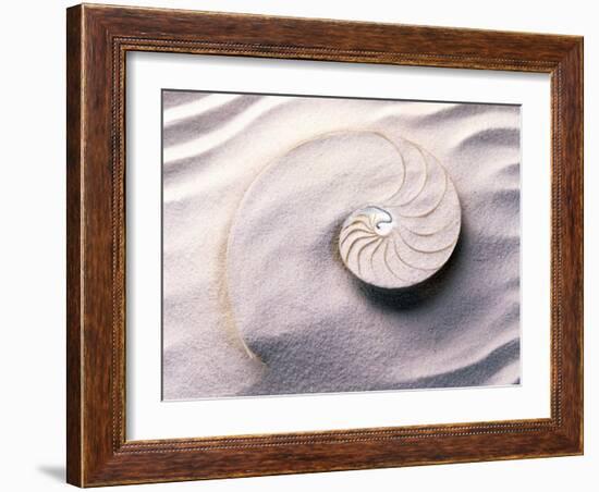 Shell Spiraling into Wavy Sand Pattern-null-Framed Photographic Print