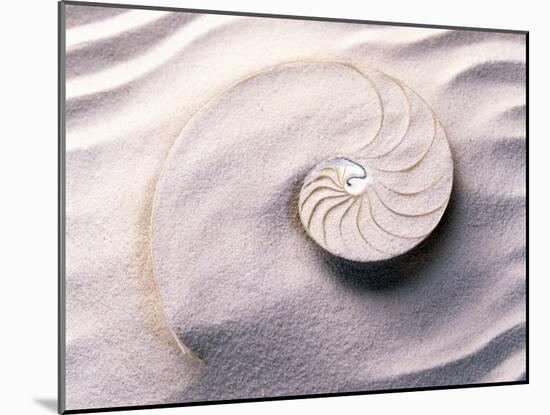 Shell Spiraling into Wavy Sand Pattern-null-Mounted Photographic Print