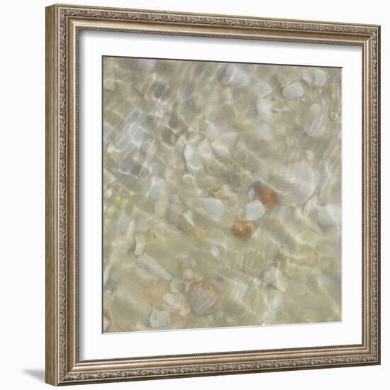 Shell Squares II-Pam Ilosky-Framed Art Print