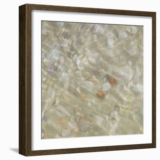 Shell Squares II-Pam Ilosky-Framed Art Print