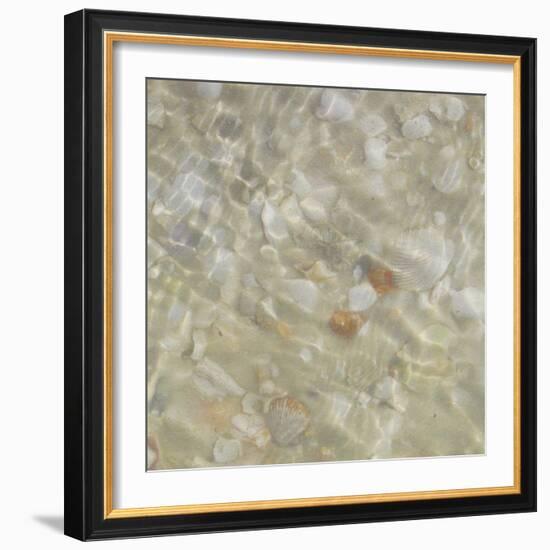 Shell Squares II-Pam Ilosky-Framed Art Print