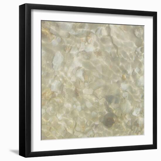 Shell Squares IV-Pam Ilosky-Framed Art Print