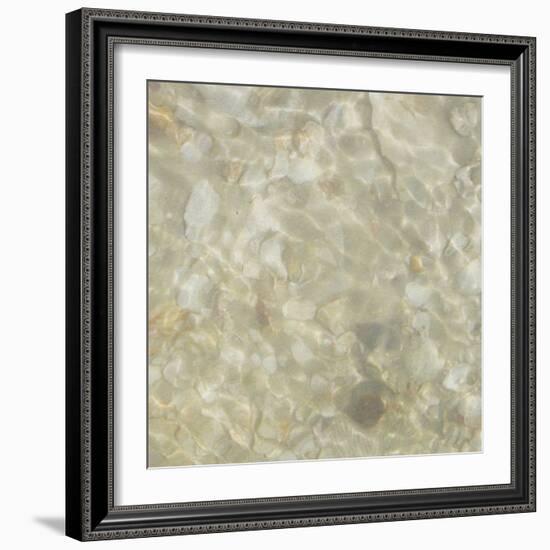 Shell Squares IV-Pam Ilosky-Framed Art Print