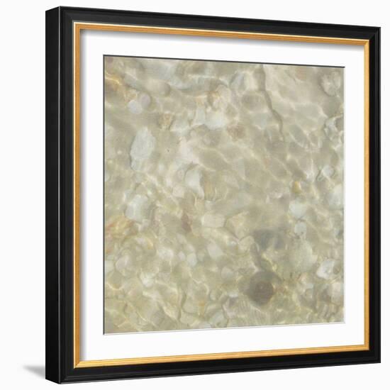 Shell Squares IV-Pam Ilosky-Framed Art Print