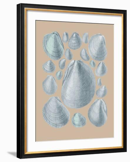 Shell Study IV-A^ Poiteau-Framed Giclee Print