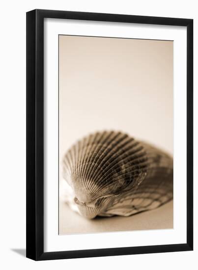 Shell Symmetry I-Karyn Millet-Framed Photographic Print