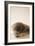 Shell Symmetry I-Karyn Millet-Framed Photographic Print