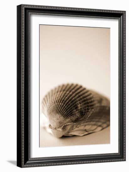 Shell Symmetry I-Karyn Millet-Framed Photographic Print