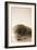 Shell Symmetry I-Karyn Millet-Framed Photographic Print