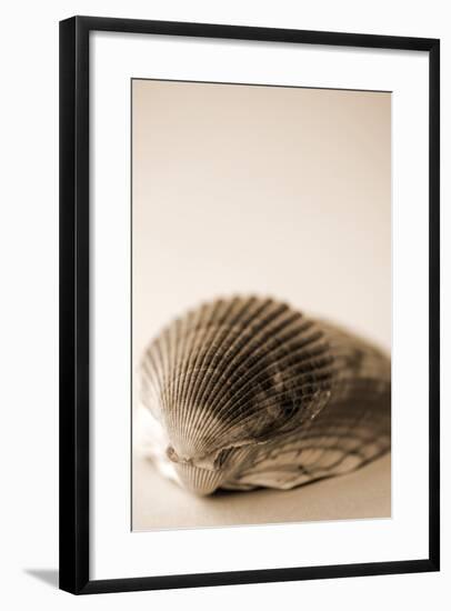 Shell Symmetry I-Karyn Millet-Framed Photographic Print