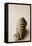Shell Symmetry II-Karyn Millet-Framed Premier Image Canvas