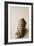 Shell Symmetry II-Karyn Millet-Framed Photographic Print