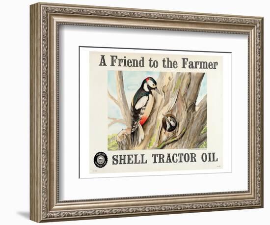 Shell Tractor Oil - Farmer-null-Framed Art Print