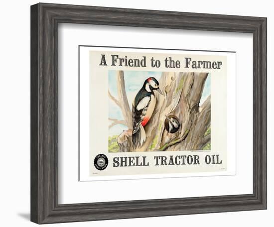 Shell Tractor Oil - Farmer-null-Framed Art Print