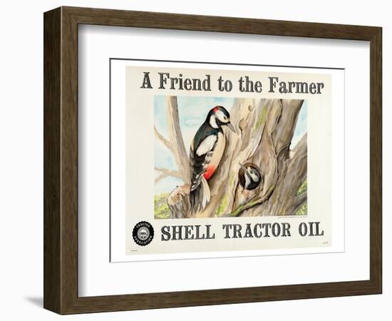 Shell Tractor Oil - Farmer-null-Framed Art Print