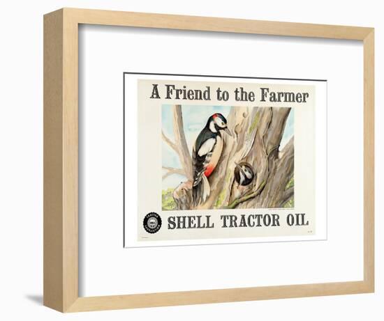 Shell Tractor Oil - Farmer-null-Framed Art Print