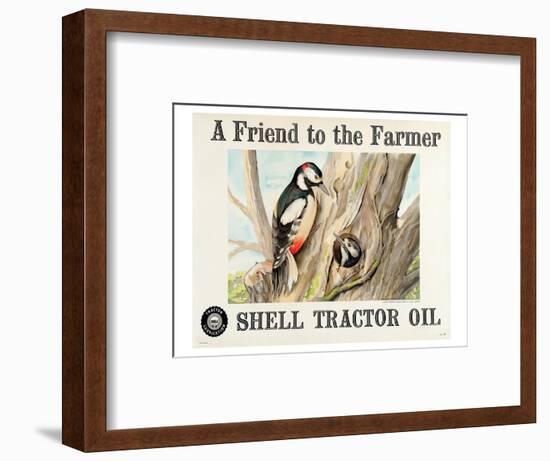 Shell Tractor Oil - Farmer-null-Framed Art Print