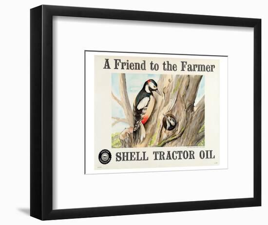 Shell Tractor Oil - Farmer-null-Framed Art Print