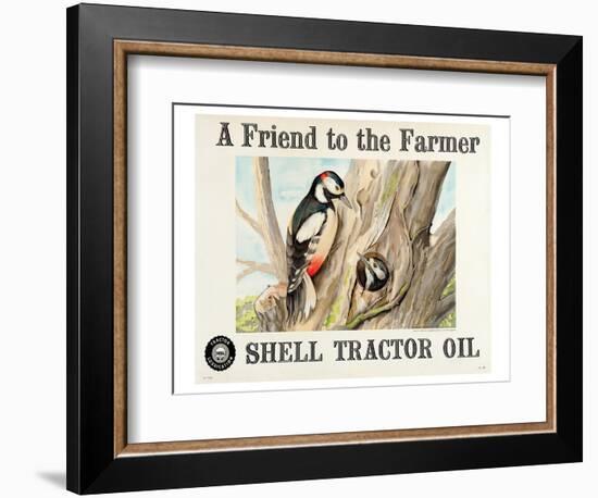 Shell Tractor Oil - Farmer-null-Framed Art Print