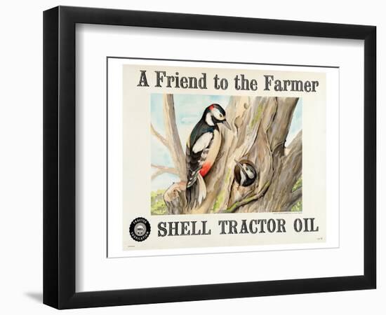 Shell Tractor Oil - Farmer-null-Framed Art Print