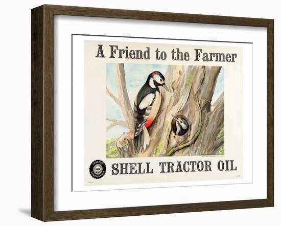 Shell Tractor Oil - Farmer-null-Framed Art Print