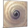 Shell Twirl-Assaf Frank-Mounted Giclee Print