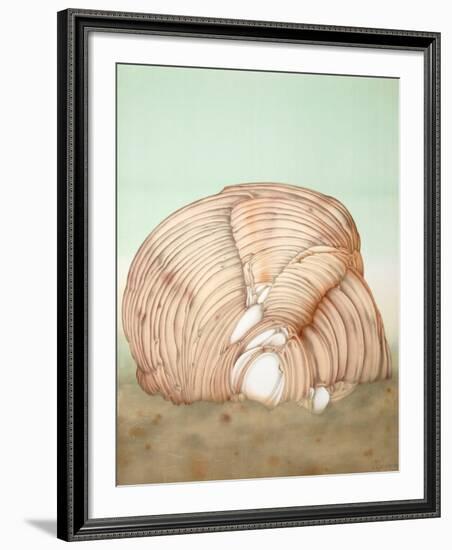 Shell-Alain Le Foll-Framed Collectable Print