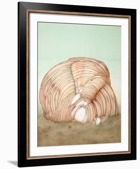 Shell-Alain Le Foll-Framed Collectable Print