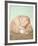 Shell-Alain Le Foll-Framed Collectable Print