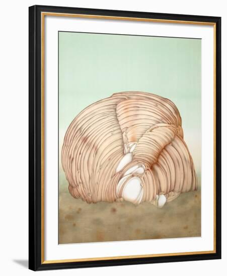 Shell-Alain Le Foll-Framed Collectable Print