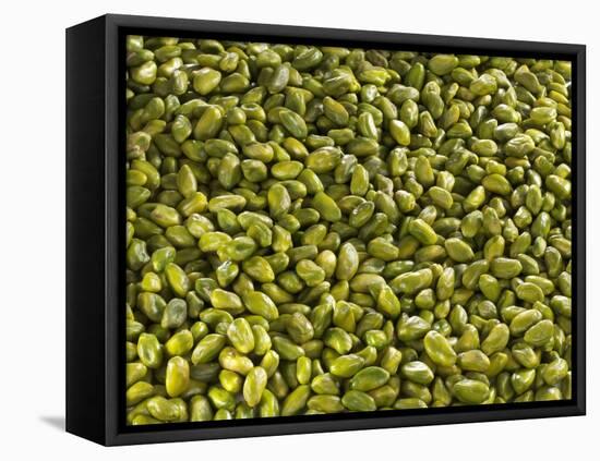 Shelled Pistachios-Karl Newedel-Framed Premier Image Canvas