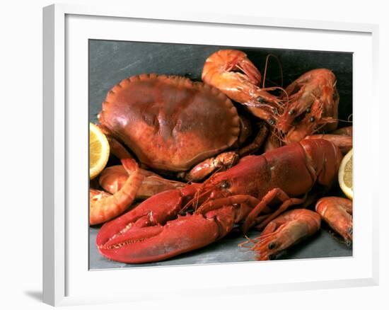 Shellfish Still Life-Steven Morris-Framed Photographic Print