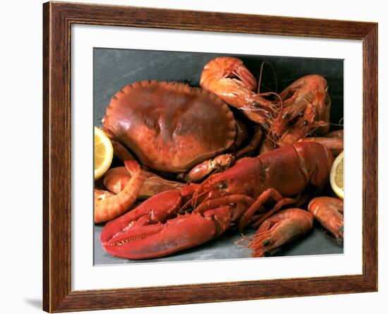 Shellfish Still Life-Steven Morris-Framed Photographic Print