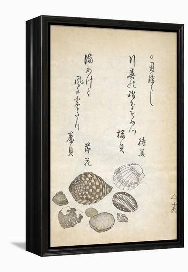 Shellfish-Katsuma Ryusai-Framed Premier Image Canvas