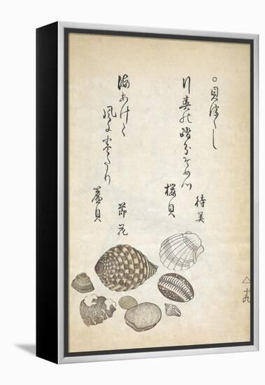 Shellfish-Katsuma Ryusai-Framed Premier Image Canvas