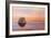 Shellflection-Chris Moyer-Framed Photographic Print