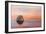 Shellflection-Chris Moyer-Framed Photographic Print