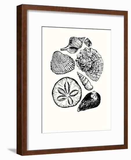 Shells 2-Erin Lin-Framed Premium Giclee Print