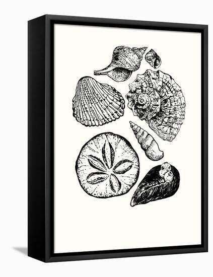 Shells 2-Erin Lin-Framed Premier Image Canvas