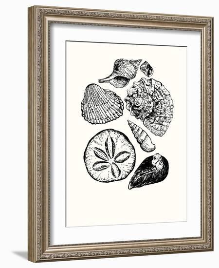 Shells 2-Erin Lin-Framed Giclee Print